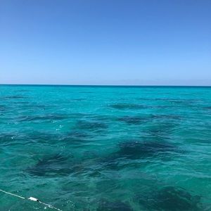 Meet your Posher, Madeline